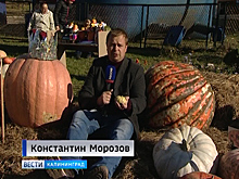 В Багратионовском районе прошёл фестиваль «Золотая тыква»