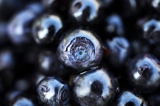 Ученые: черника спасет от посттравматического стрессового расстройства