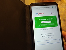Учёные высказались против отмены QR-кодов в Новосибирске