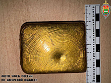 Иностранец попытался улететь из Благовещенска со слитком золота, спрятанным в пауэрбанке