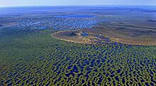Шокирующие факты о Васюганских болотах