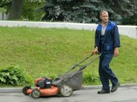 До 16 и старше: где реально найти подработку летом детям и взрослым?