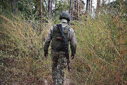 ВС России за сутки уничтожили до взвода ВСУ в ходе боев в Сумской области