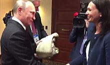 Появилось видео передачи связанного для Путина перуанкой свитера