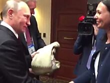 Появилось видео передачи связанного для Путина перуанкой свитера