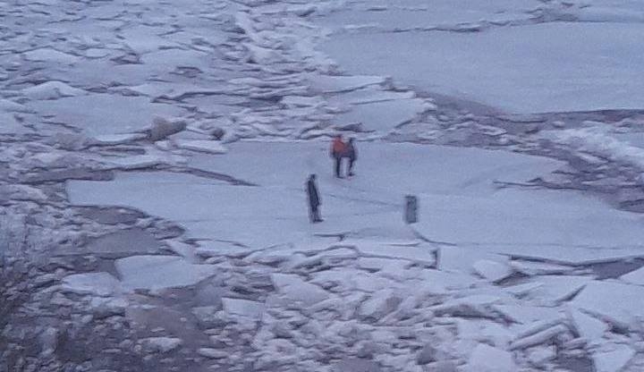 Детей и собаку спасли со льдины в Нижегородской области