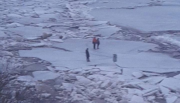 Детей и собаку спасли со льдины в Нижегородской области