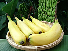 В Японии выращивают бананы со съедобной кожурой