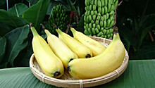В Японии выращивают бананы со съедобной кожурой