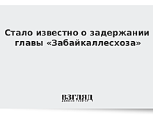 Стало известно о задержании главы «Забайкаллесхоза»