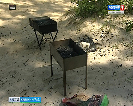 В Калининградских парках могут появиться специальные места для приготовления шашлыка