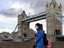 Коронавирус vs бокс. Британский боксёрский совет отменил ближайшие мероприятия