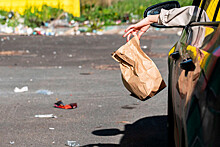 Удар рублем: одобрены штрафы за выброс мусора из авто