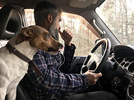 «Самое интересное начинается там, где заканчивается дорога»: москвич объехал полстраны вместе со своим псом