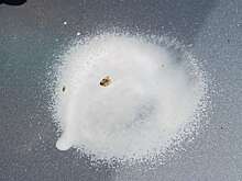 Надо побыстрее отчистить кузов от смолы и почек? Есть такие средства!