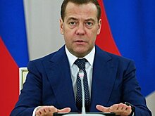 Медведев положительно оценил динамику российско-египетского товарооборота