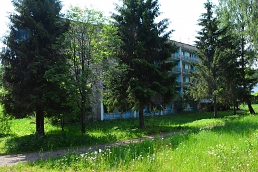 Жители Заволжья хотят в парке санатория «Костромской» фонтан и качели