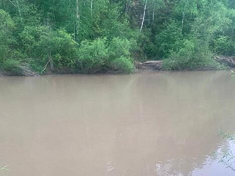 В Минприроды прокомментировали ситуацию с загрязнением реки Кручина