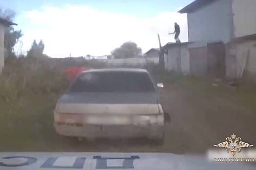 Россиянин на видео метнул полено и помог полиции задержать лихача