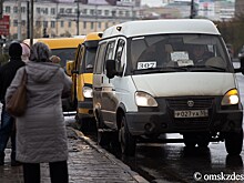 По метромосту пустили ещё одну маршрутку