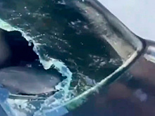 Более 10 автомобилей повреждены пьяным хулиганом в центре Сочи