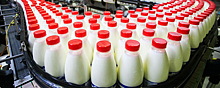 В России за последние 10 лет производство молока увеличилось на 1 млн тонн