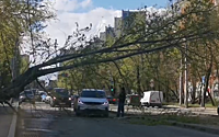 Последствия непогоды в Москве попали на видео