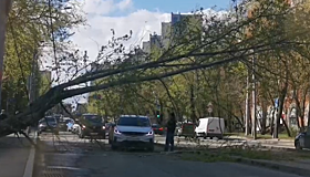 Последствия непогоды в Москве попали на видео