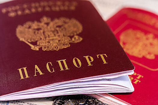 В СПЧ не поддержали идею вернуть графу "национальность" в паспорт