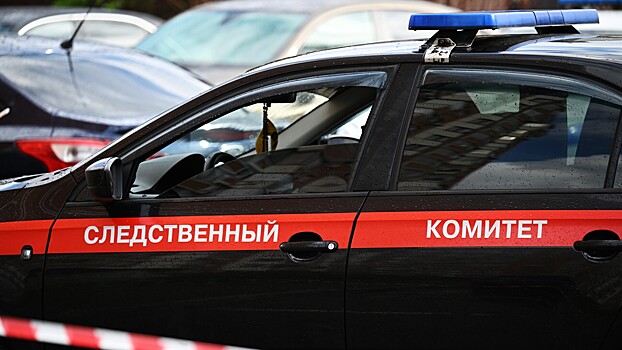 Стало известно о наказании для студента, напавшего на полицейских в Москве