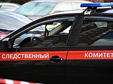 Стало известно о наказании для студента, напавшего на полицейских в Москве