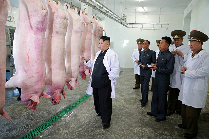 Лидер Северной Кореи Ким Чен Ын посетил свинокомплекс Тэчон военно-воздушных и противовоздушных сил Корейской народной армии, 2017 год