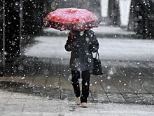 Первый снег в Москве ожидается в третьей декаде октября