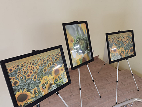 В Кунцеве открылась фотовыставка «Созерцание отражения VS Отражение созерцания»