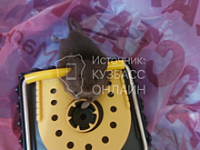 Крысы обосновались в десятиэтажке в центре Новокузнецка