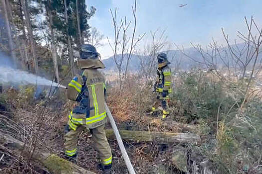 NHK: при пожаре в городе Оита на острове Кюсю сгорело свыше 170 домов