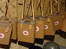 В Рыбинском районе приостановлена деятельность частного детского лагеря «Черная речка»