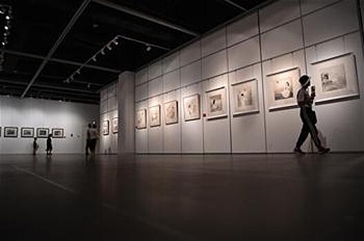 5-я Всекитайская передвижная выставка картинных серий прибыла в Тяньцзинь