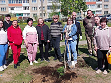 В Красногорске более 130 ЮИДовцев приняли участие в соревновании «Безопасное кресло»