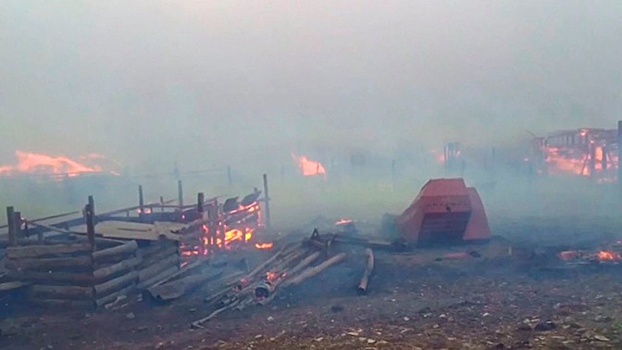Леса в огне: как Россия борется с природными пожарами