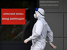В России выявили 24 946 новых случаев коронавируса