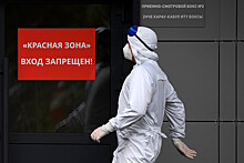 В России выявили 24 946 новых случаев коронавируса