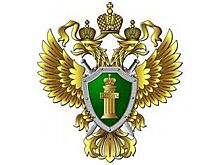 Власти Ржева назвали 13-метровое жильё пригодным для семьи с двумя детьми