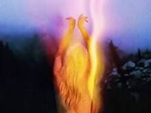 Певица Кеша снялась обнаженной и показала видео фанатам