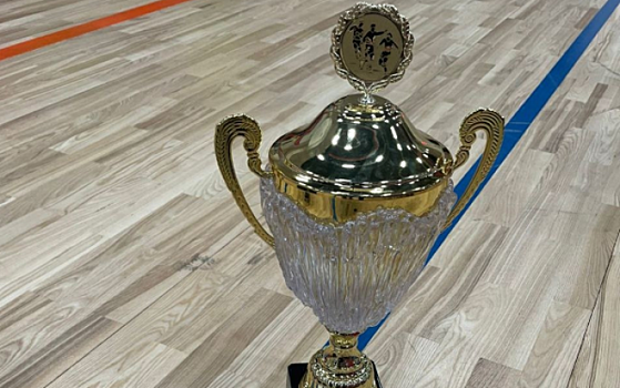 Команда «Лион» из Северного Бутова выиграла городские соревнования по мини-футболу