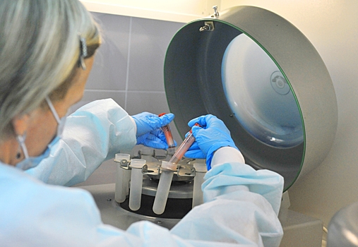 В московском районе ввели карантин из-за выявления бешенства у животного