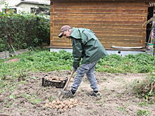 Подешевеют ли дома в Московском регионе: комментарий специалиста