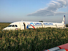 Восстановлена хронология посадки Airbus в поле