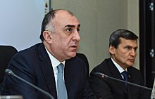 Глава МИД АР обратился к членам ОЭС с призывом по Карабахскому вопросу