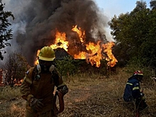 Грецию охватили пожары